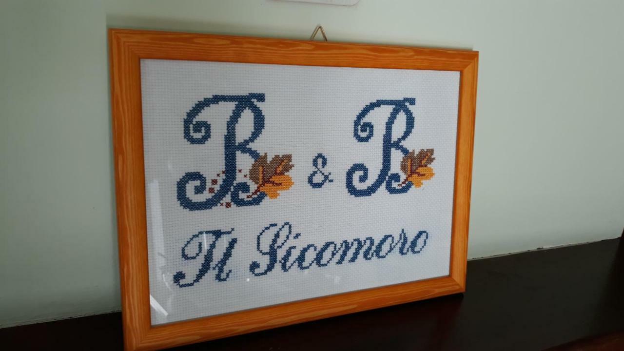 B & B Il Sicomoro Montecarotto Екстериор снимка