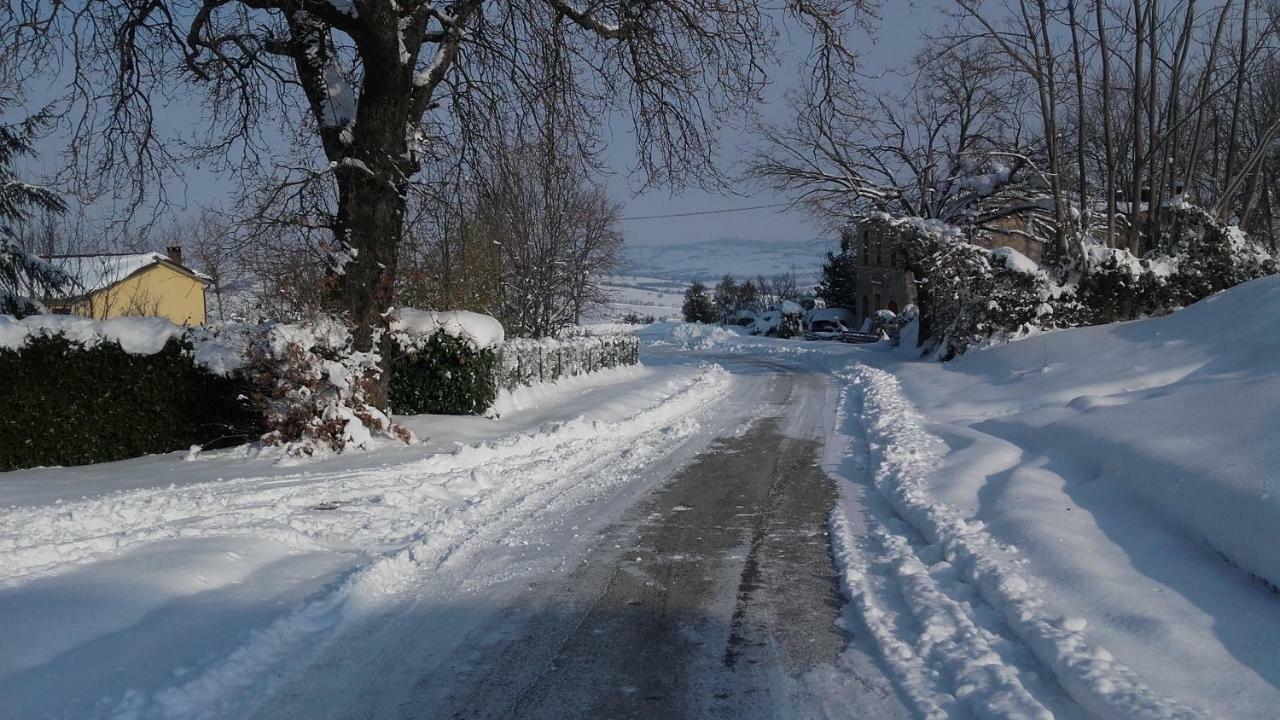 B & B Il Sicomoro Montecarotto Екстериор снимка